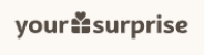 Your Surprise DE