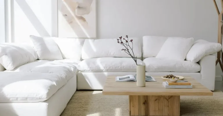 Creating a Cozy Haven: Why Cloud Sectional Sofas Are Perfect