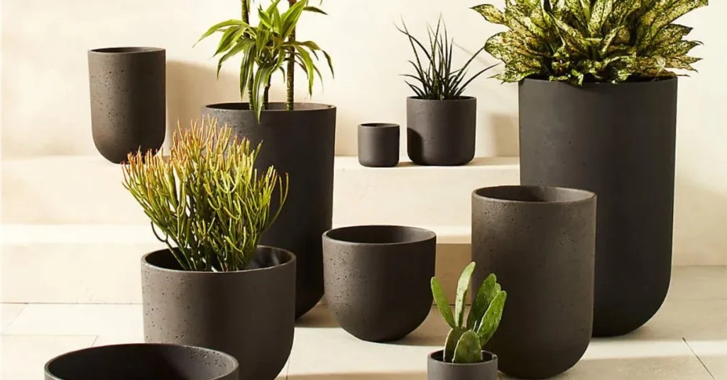 Cement Planters