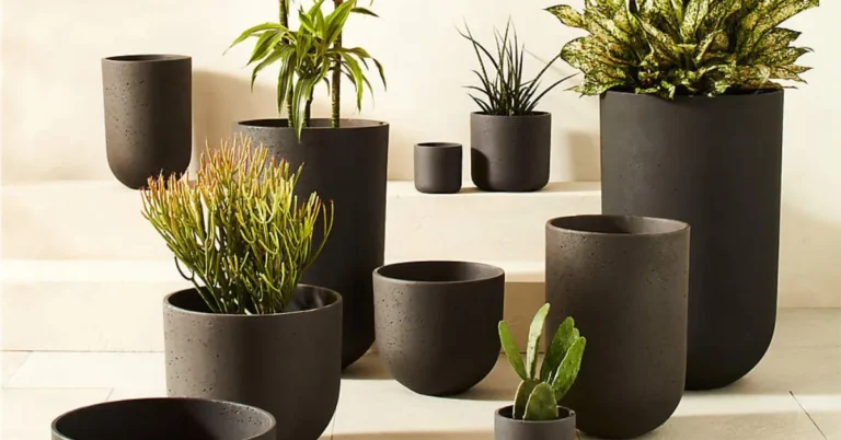 Cement Planters Adding Style and Durability to Your Green Space