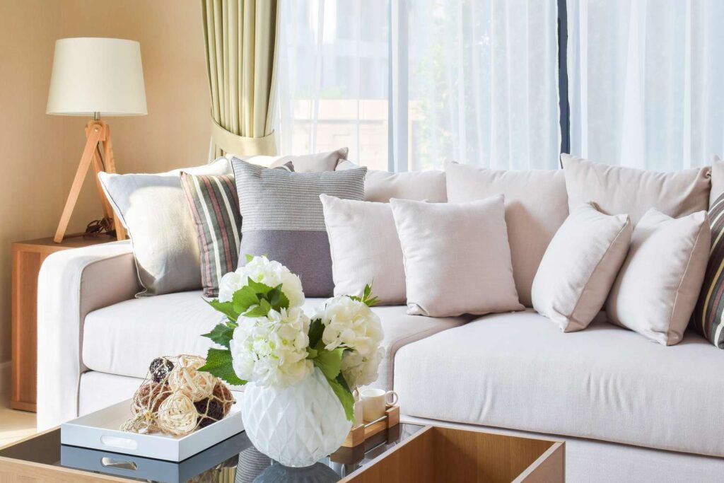 Throw Pillows