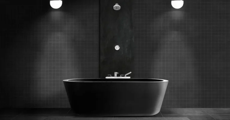 Black Toilets Elevate Your Bathroom Aesthetic