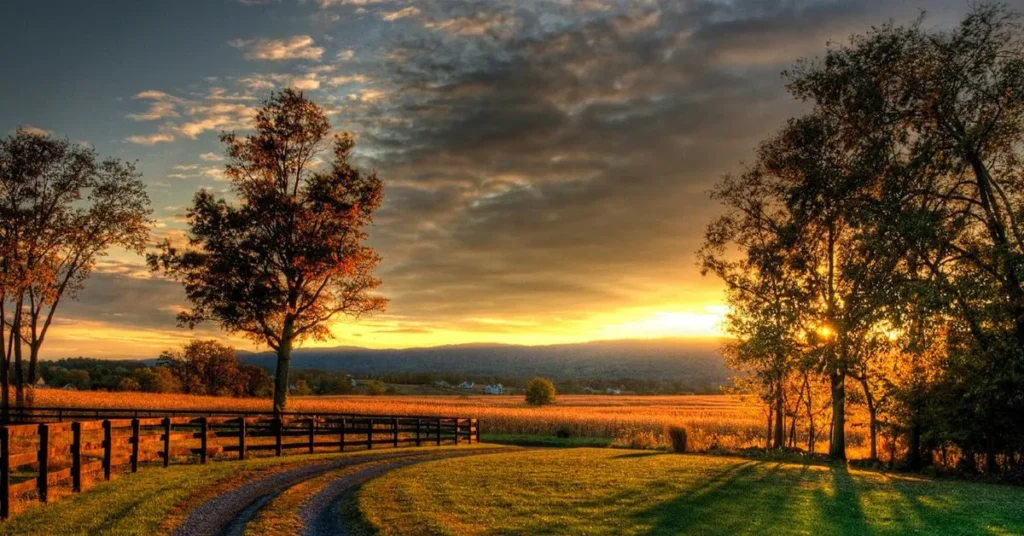 Country Wallpaper