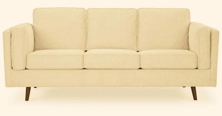 Exploring the Comfort and Style of Maimz Sofas