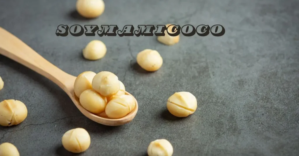 Soymamicoco