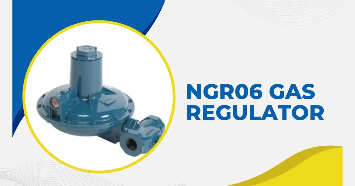 NGR06 Gas Regulator