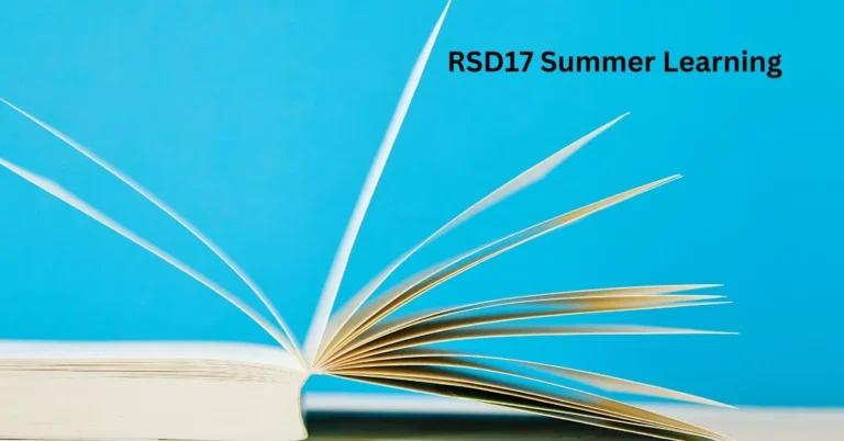 RSD17 Summer Learning