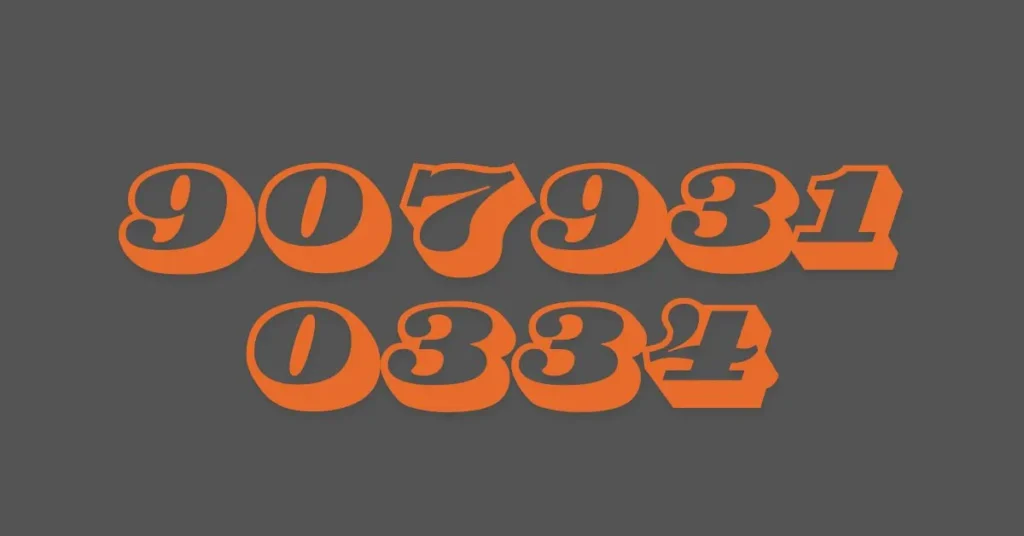 9079310334