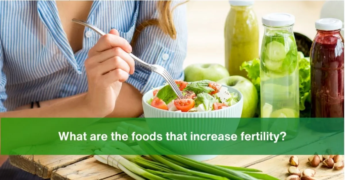 Essential Foods to Increase Fertility