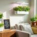 6 Best Indoor Herb Gardens 2026